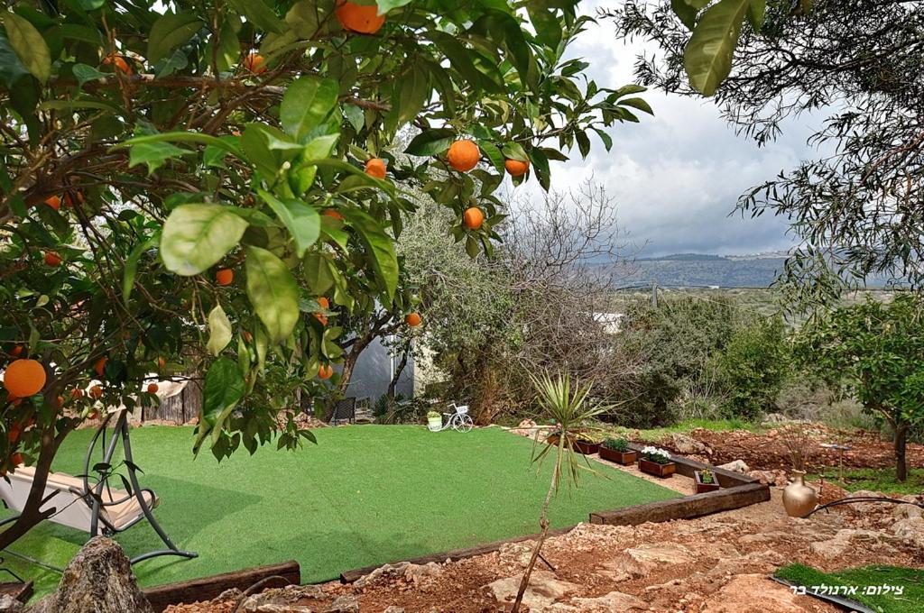 סויטות אירוח מנות Apartment Exterior photo